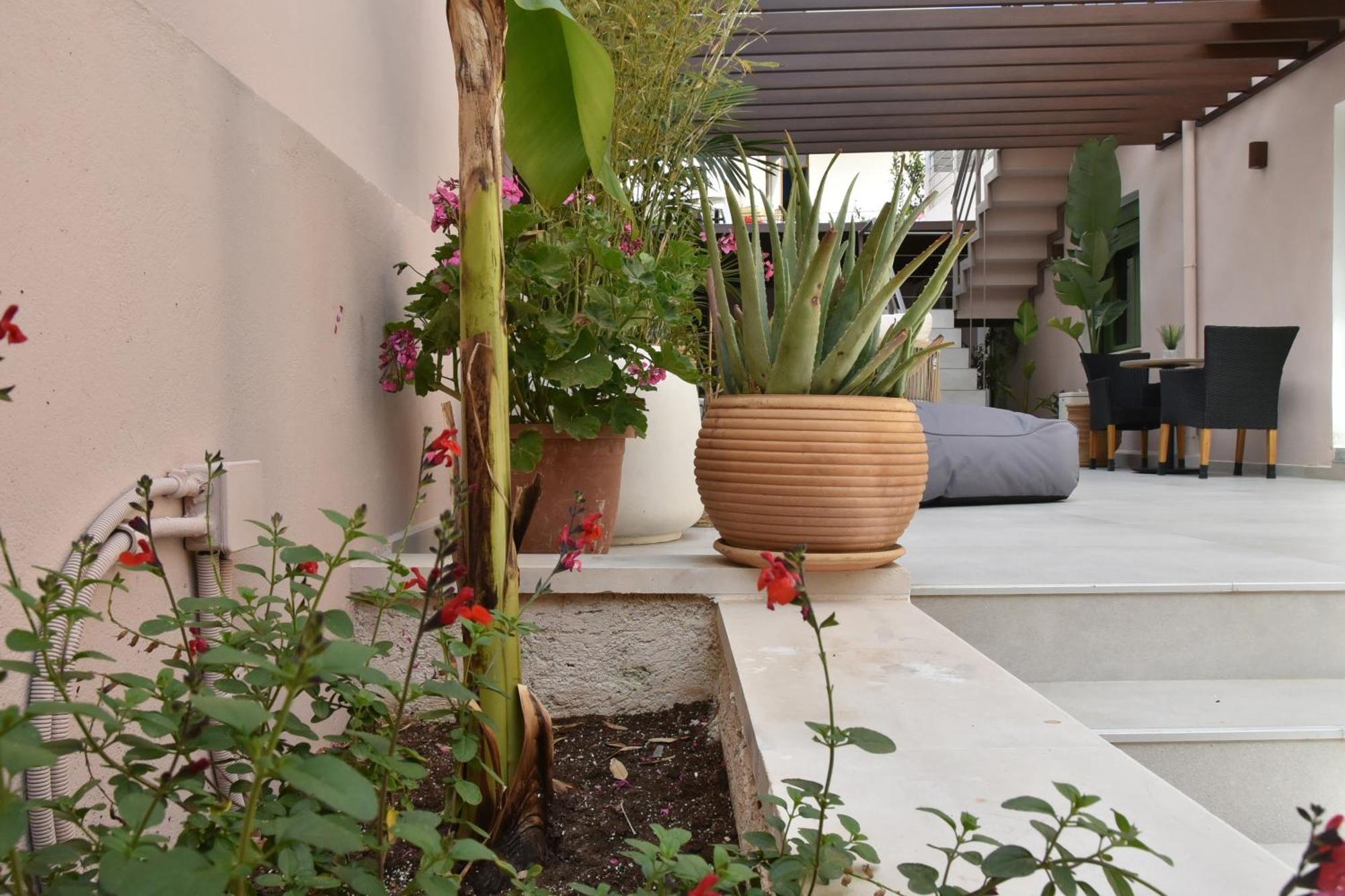 Hotel Casa Enetiko Chania  Exteriér fotografie